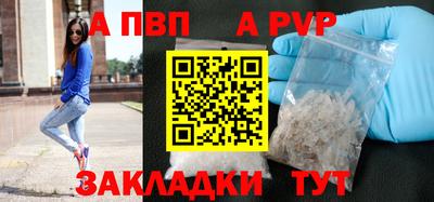 apvp Кингисепп
