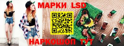 стаф Кинель
