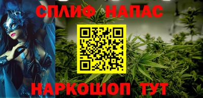 стаф Кинель