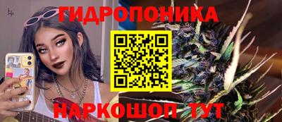 apvp Кингисепп