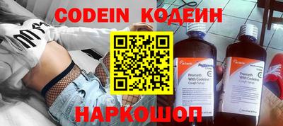 apvp Кингисепп