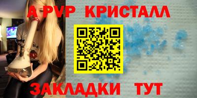 стаф Кинель